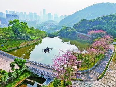 無人機在深圳塘朗山郊野公園里巡檢。新華社發